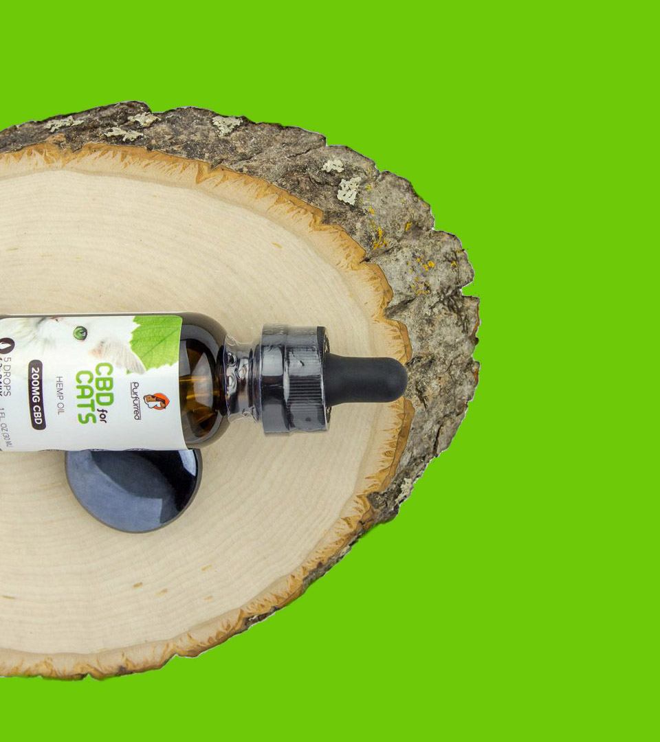 cbd hemp oil for cats