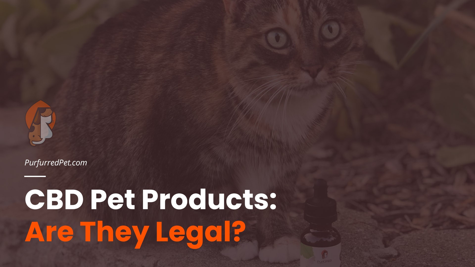 cbd pet products legal